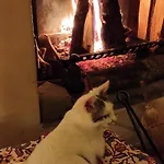 La Campana ホームステイ